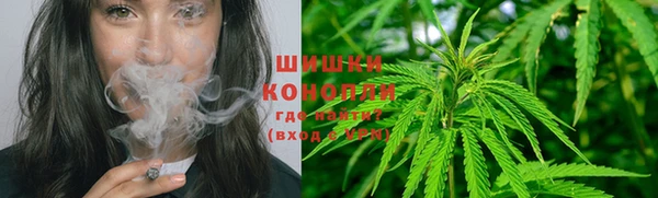 кокс Елизово
