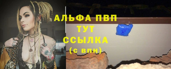 кокс Елизово