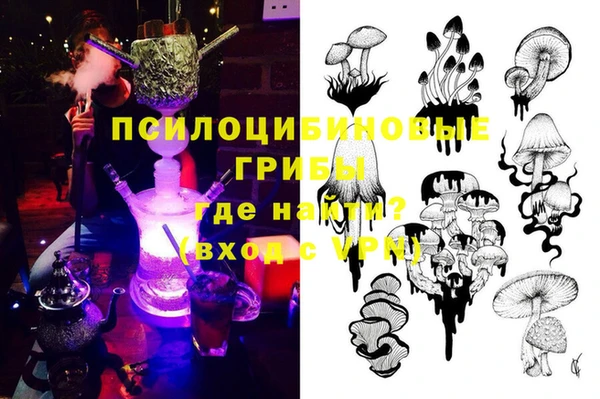 кокс Елизово