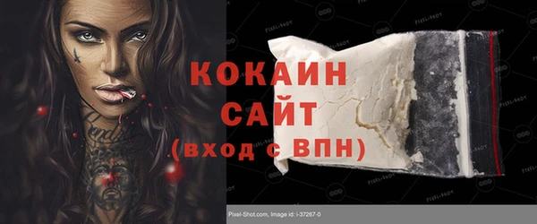 кокс Елизово