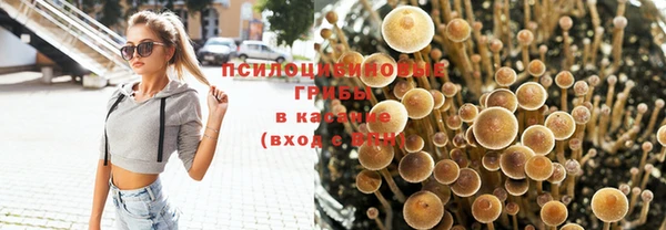 кристаллы Ельня